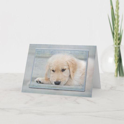 Carte Chiot Golden Retriever en cadre bleu (Devant)