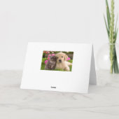 Carte Chiot Golden Retriever et Amour de Chatons (Dos)