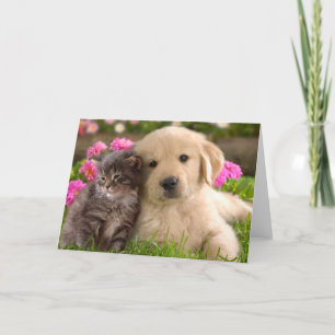 Carte Chiot Golden Retriever et Amour de Chatons