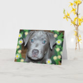 Carte Chiot labrabull avec fleurs / Photo Chien de compa (Fleur jaune)