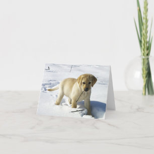 Carte chiot labrador jaune LR dans la neige