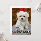 Carte Chiot maltais à Noël (Devant/Arrière en situation)