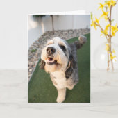 Carte Chiot Mignon (Fleur jaune)