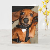 Carte Chiot mignon d'animal familier de teckel (Fleur jaune)