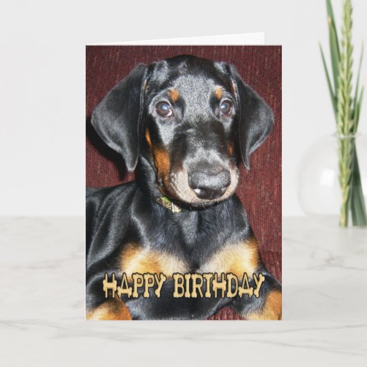 Carte Chiot mignon de Pinscher de dobermann de joyeux (Devant)