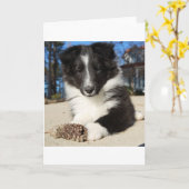 Carte chiot noir et blanc (Fleur jaune)