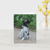 Carte Chiot pointeur allemand Shorthair (Fleur jaune)