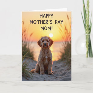 Carte Chiot Rayé Coucher de Soleil