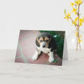 Carte Chiot se reposant de beagle (Fleur jaune)