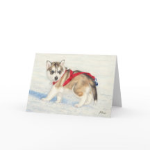 Chiot Sibérien Husky En Neige