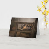 Carte Chiot sur un banc (Fleur jaune)