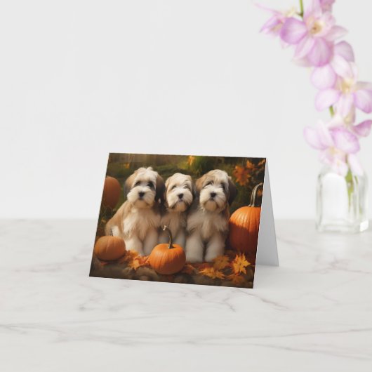 Carte Chiot Terrier Tibétain Automne Plaisir Citrouille (Orchidée)