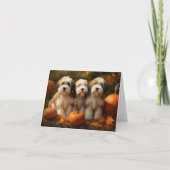 Carte Chiot Terrier Tibétain Automne Plaisir Citrouille (Devant)