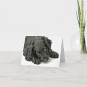 Carte Chiot très mignon (Devant)