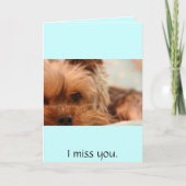 Carte chiot yorkie (Devant)
