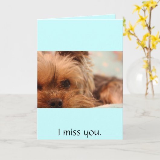 Carte chiot yorkie (Fleur jaune)