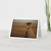 Carte Chiots à la plage (Devant)