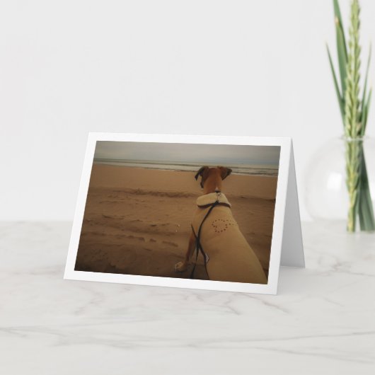 Carte Chiots à la plage (Devant)