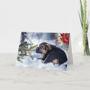 Carte Chiots Berger Allemand avec Poinsettia Aquarelle