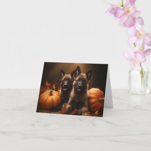 Carte Chiots Berger Belge Délice d'Automne Citrouille (Orchidée)