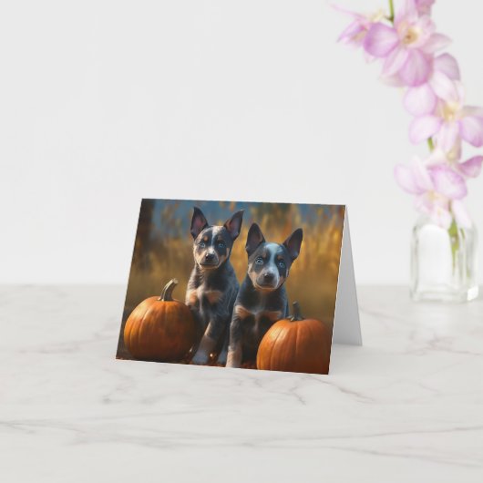 Carte Chiots Blue Heeler Délice d'Automne Citrouille (Orchidée)