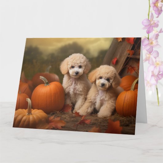 Carte Chiots Caniches Délice d'Automne Citrouille (Orchidée)