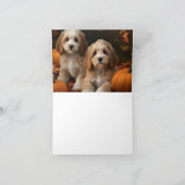 Carte Chiots Cockapoo Délice d'Automne Citrouille (Intérieur)