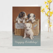 Carte Chiots dans un panier CC0063 Carl Reichert Anniver (Fleur jaune)