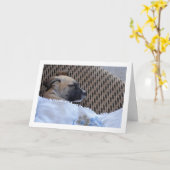 Carte Chiots dans une couverture (Fleur jaune)