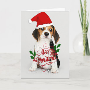 Carte Chiots de Noël