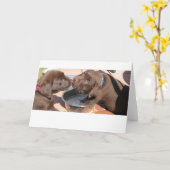 Carte Chiots du Labrador au chocolat (Fleur jaune)