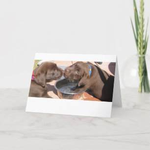 Carte Chiots du Labrador au chocolat