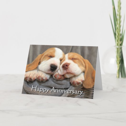 Carte Chiots endormis (Devant)