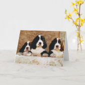 Carte Chiots espagnols Springer anglais (Fleur jaune)