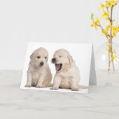 Carte Chiots Golden Retriever (4 semaines) (Fleur jaune)