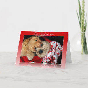 Carte chiots Golden Retriever pour anniversaire de maria