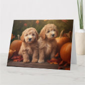 Carte Chiots Goldendoodle Délice d'Automne Citrouille (Devant)