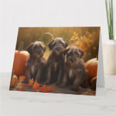 Carte Chiots Griffon à poil dur pointer en automne (Devant)