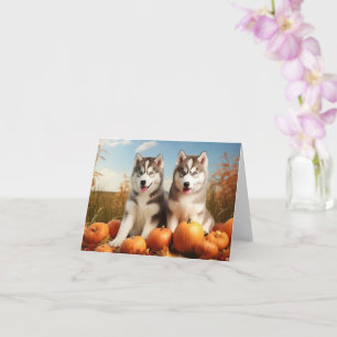 Carte Chiots Malamute d'Alaska Délice d'Automne Citrouil