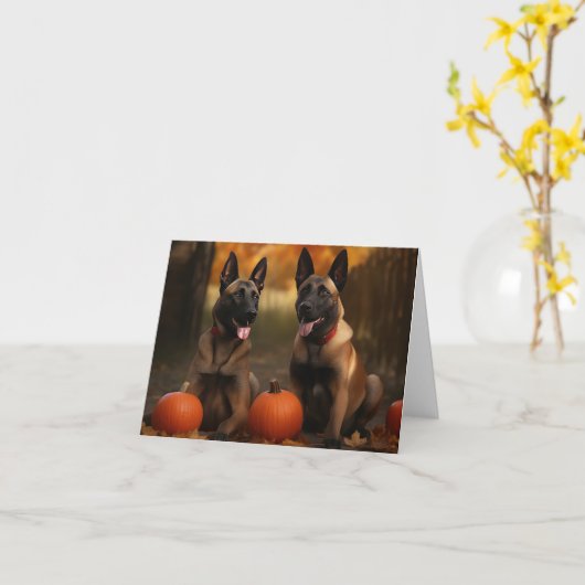 Carte Chiots Malinois Belge Délice d'Automne Citrouille  (Fleur jaune)