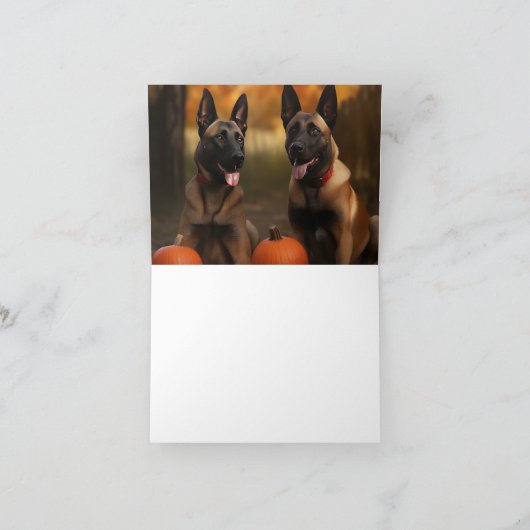 Carte Chiots Malinois Belge Délice d'Automne Citrouille  (Intérieur)