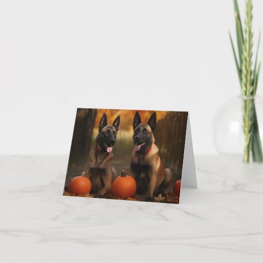 Carte Chiots Malinois Belge Délice d'Automne Citrouille  (Devant)