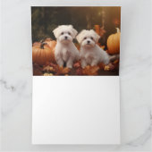 Carte Chiots maltais Délice d'automne Citrouille  (Intérieur)
