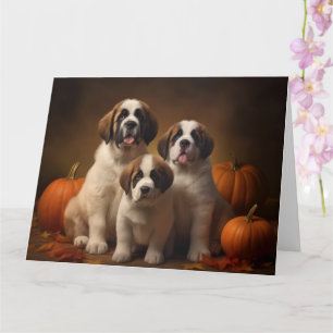 Carte Chiots Saint-Bernard Délice d'Automne Citrouille