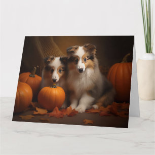 Carte Chiots Shetland Sheepdog Délice d'Automne Citrouil