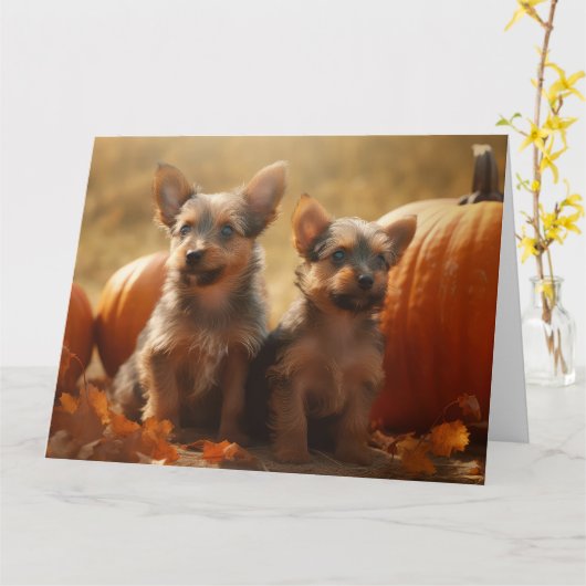 Carte Chiots Terrier Australien Délice d'Automne Citroui (Fleur jaune)