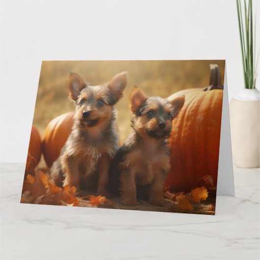Carte Chiots Terrier Australien Délice d'Automne Citroui (Devant)