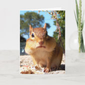 Carte Chipmunk (Devant)