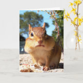 Carte Chipmunk (Fleur jaune)