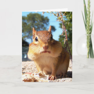 Carte Chipmunk
